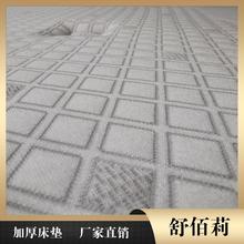 杭州床垫 酒店席梦思床垫 舒佰莉优质床垫商家