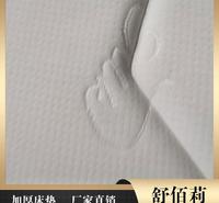 席梦思床垫现货 舒佰莉优质床垫现货 湖州床垫