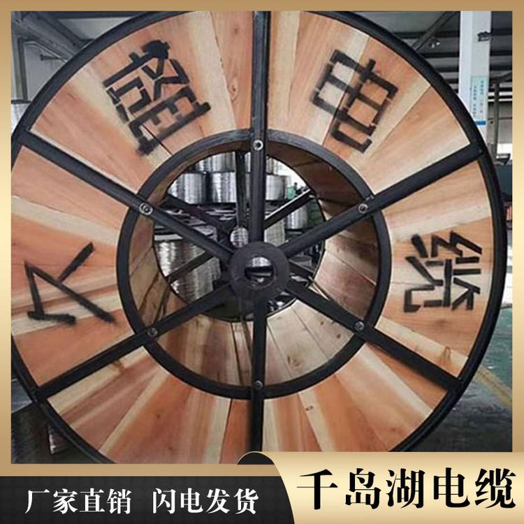 钢丝铠装电缆 千岛湖中策控股电缆现货 拱墅电缆