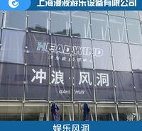 荆门冲浪 上海漫波 冲浪机滑板机