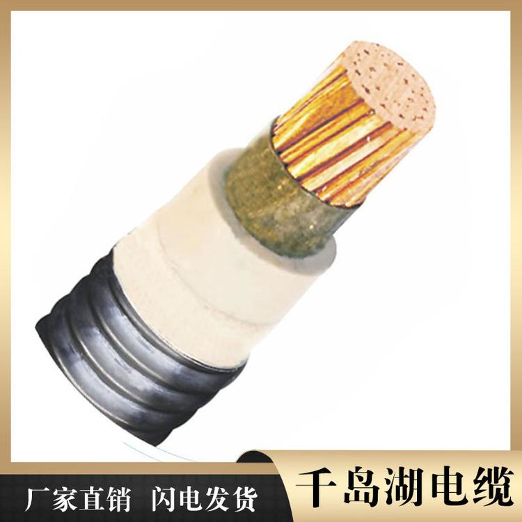 变频电缆系列 千岛湖中策控股电缆厂现货 湖州电缆