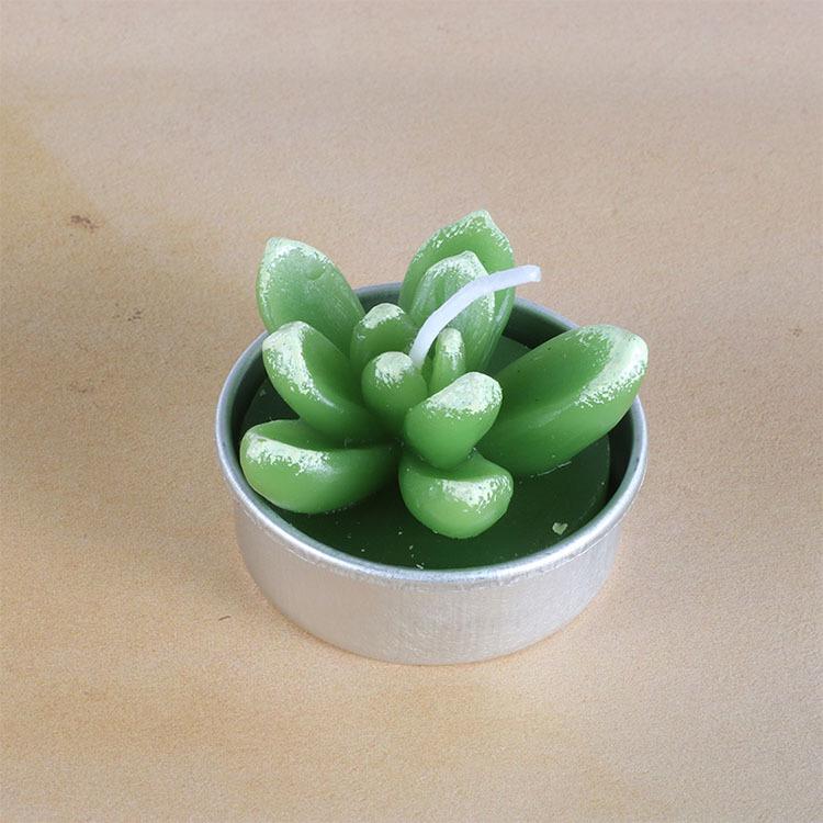 仿真植物多肉蜡烛批发 圣坤情人节茶蜡 广元蜡烛批发
