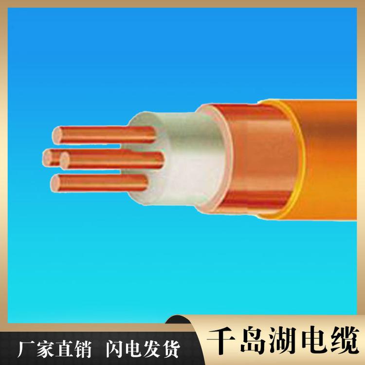 BPYJVP变频电缆 温州电缆 千岛湖中策控股电缆
