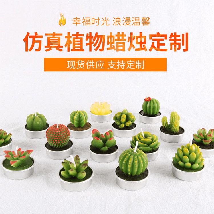 玉林蜡烛原料 环保生日蜡烛原料 圣坤仿真植物蜡烛商家