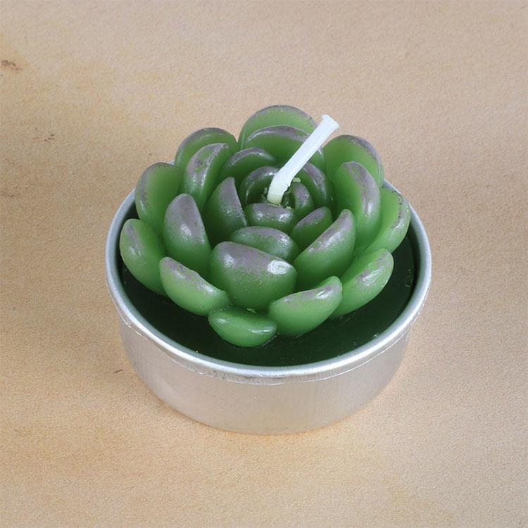 多肉植物蜡烛价格 圣坤蜡艺 泰州蜡烛