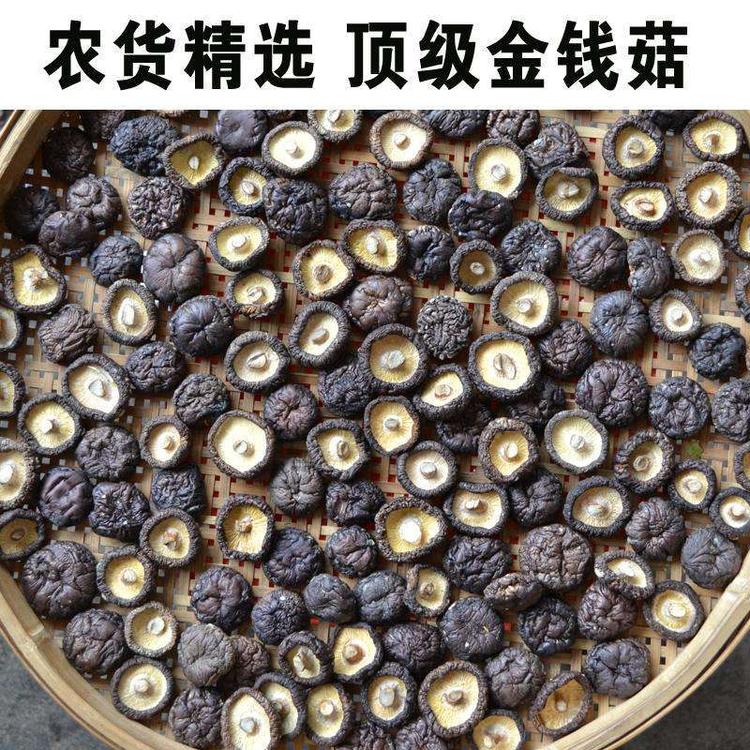 秦川大厨报价 蘑菇酱卖家 温江蘑菇酱