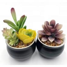 东莞工厂定制塑胶植物 仿真多汁植物 加厚多肉绿植 直供贸易商