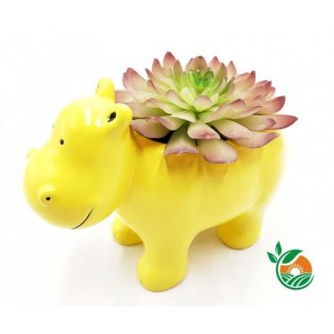 仿真观音莲 仿真植物工厂东莞雅春苑可为你独家定制 精美绿植组合