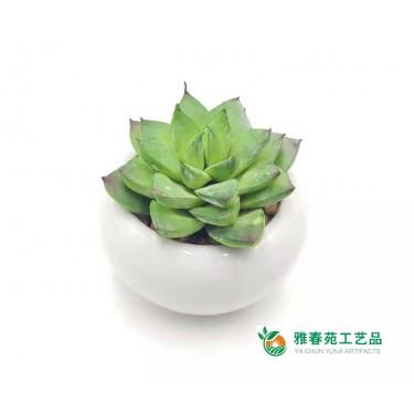 东莞雅春苑工厂定制 仿真多肉值物迷你盆景 迷你观音莲