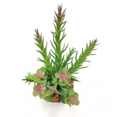 绿植小盆栽 仿真多肉植物 室内迷你盆栽高低组合搭配