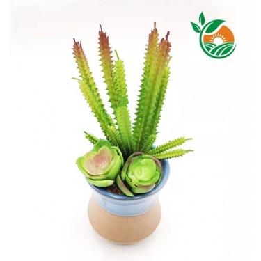 东莞企石镇仿真花 仿真绿色植物工厂 雅春苑工艺多肉植物厂价直销