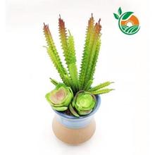 东莞企石镇仿真花 仿真绿色植物工厂 雅春苑工艺多肉植物厂价直销