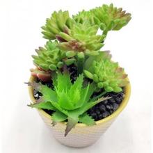 仿真多肉植物虹之玉与芦荟组合迷你盆栽 放办公桌面养眼护眼法宝
