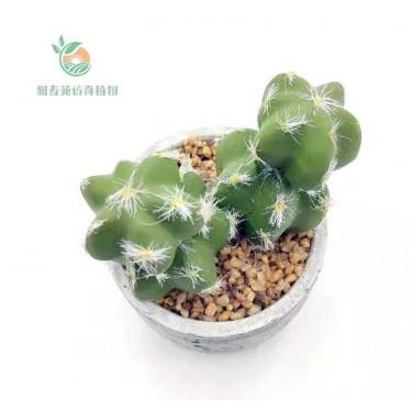 多肉仿真植物 仙人球批发 东莞雅春苑工艺精湛 更多开模