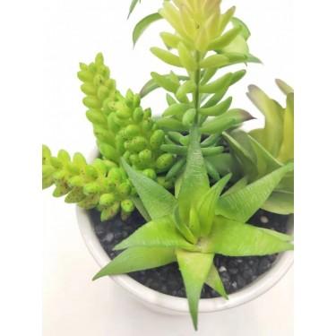 仿真多肉植物  雅春苑多样组合和陶瓷底盆任搭绿植盆栽