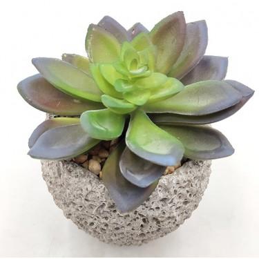 广东出口仿真植物 多肉观音莲小盆栽 室内装饰 创意水泥杯仿真盆栽