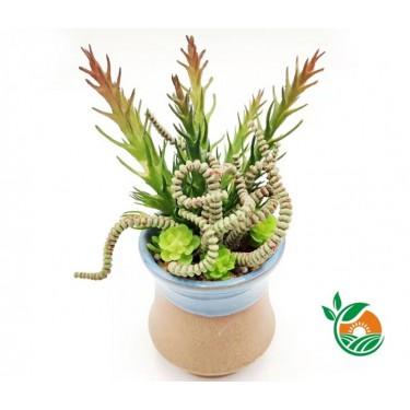 东莞雅春苑工厂直供 PVC仿真多肉植物 热带青锁龙系绿植