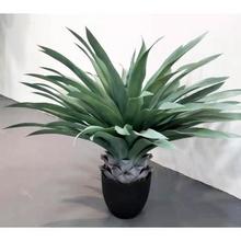 东莞仿真植物工厂定制 仿真大剑兰 仿真树 品质和效率同样有保障