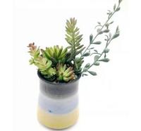 东莞厂家直销 多肉仿真植物 迷你陶瓷杯小盆栽 婚庆喜事装饰绿植