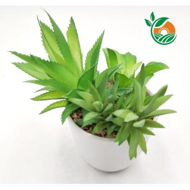 仿真绿色植物 多汁芦荟多肉迷你组合盆栽 惠州旁企石雅春苑工艺厂