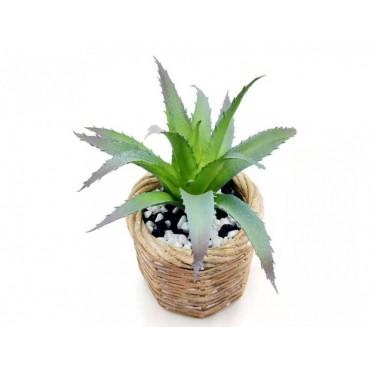 仿真芦荟 竹编状托杯精致绿色盆景 室内迷你盆栽放办公桌面更养眼