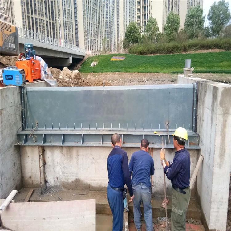 泰和下卧式翻板钢闸门 景观钢坝闸门 厂家批发【瑞鑫水工】
