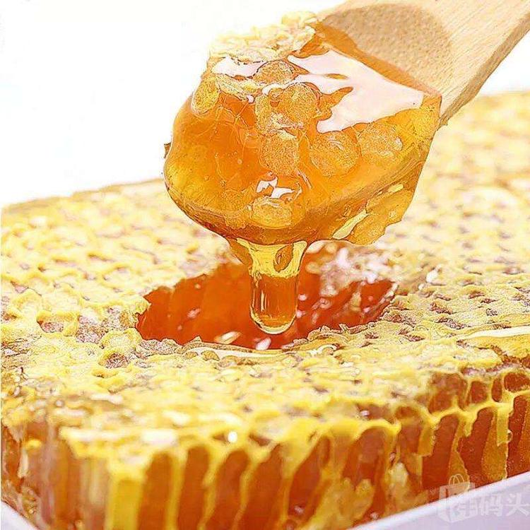 农家自酿蜂巢  一件代发  500g 蜂巢蜜 价格荆花蜜