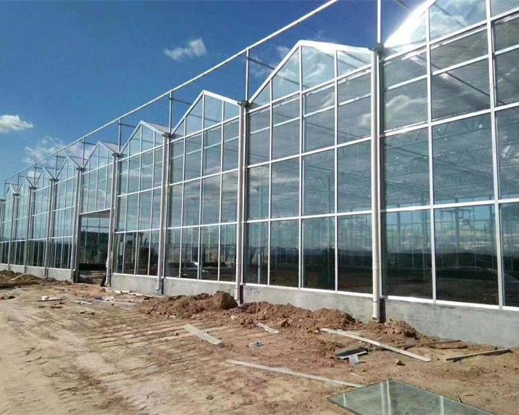 山东智能温室大棚 智能温室大棚建造方案 智能温室大棚建造商