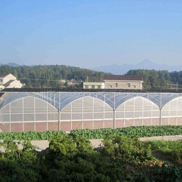博盛日光温室大棚 连栋薄膜温室 农业用塑料大棚