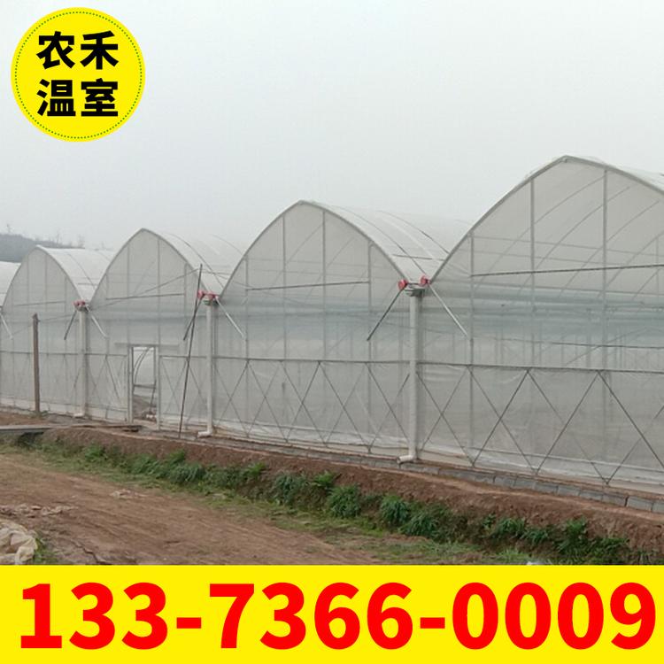 无锡大棚管厂 湖南薄膜连栋大棚 连体大棚厂家 火龙果葡萄大棚 车厘子温室大棚造价