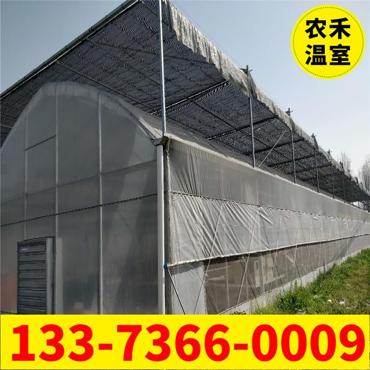 江苏厂家直发温室大棚 连体大棚 蔬菜大棚 薄膜温室大棚 支持定制品质保证