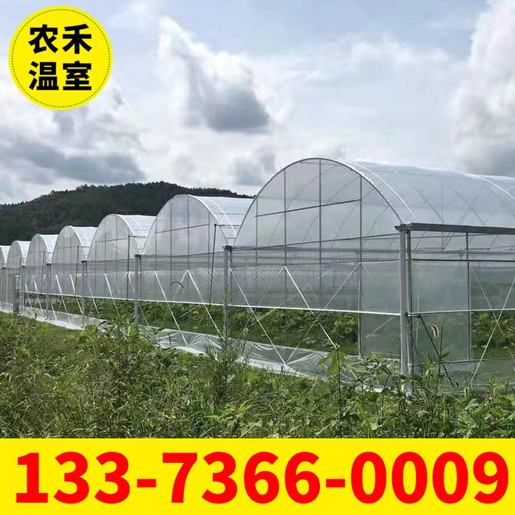 江苏厂家生产销售温室大棚 外遮阳蔬菜花卉连栋薄膜温室大棚骨架 草莓大棚 支持定制现货供应