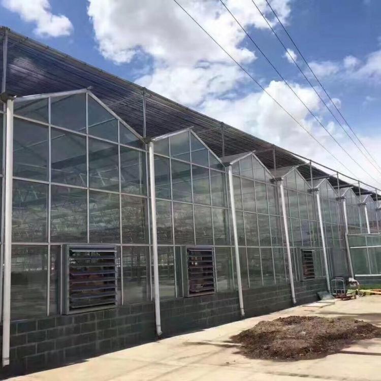 高质量的纹络玻璃温室大棚承建商 温室大棚骨架建设