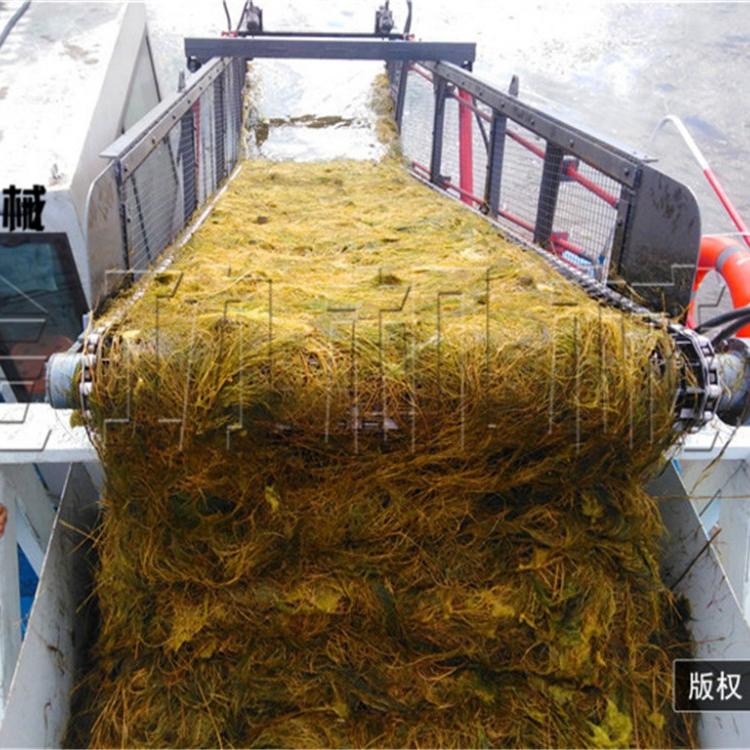 水草粉碎船 垃圾打捞船 收割水草船