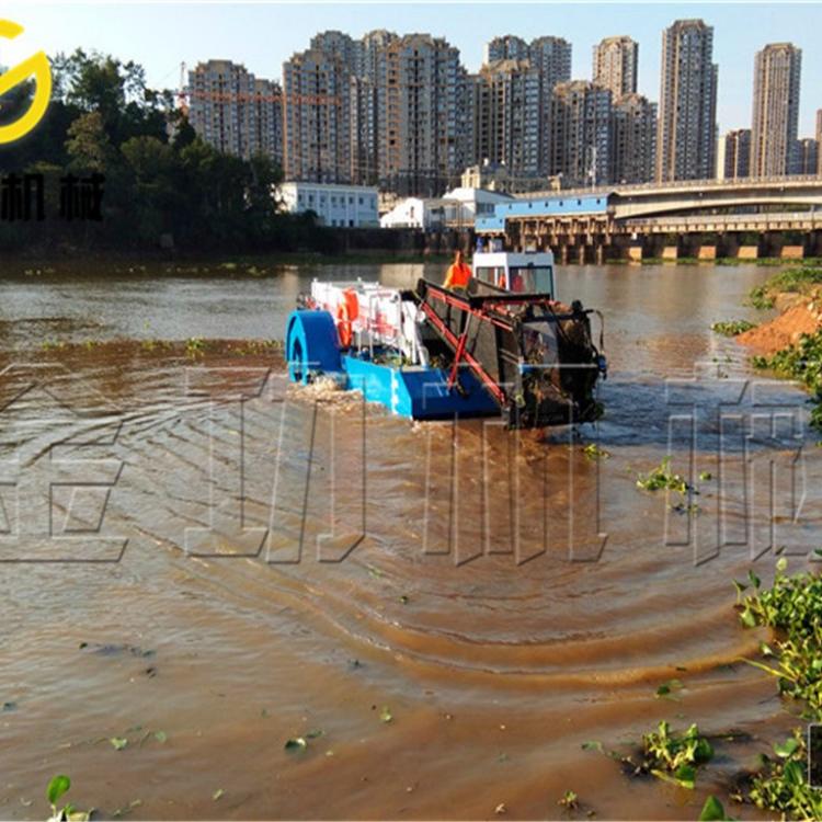 浅滩水草收割船 湖泊污染 垃圾收集 水陆两栖船  保洁船