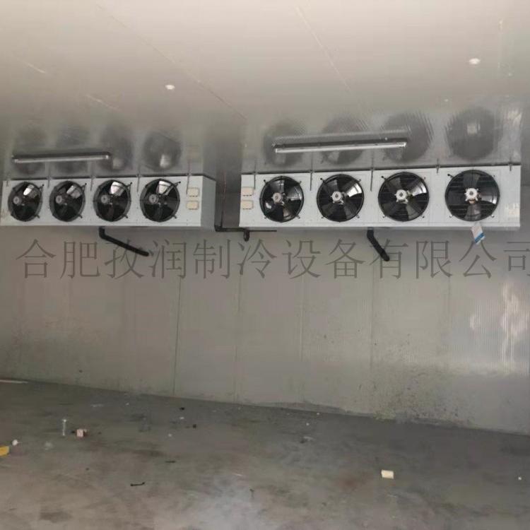 专业安装冷库医药验收冷库-高性价比冷库医药验收冷库冷库生产企业