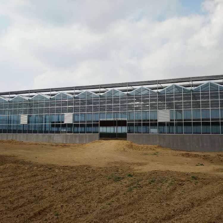 温室大棚建设 温室骨架供应