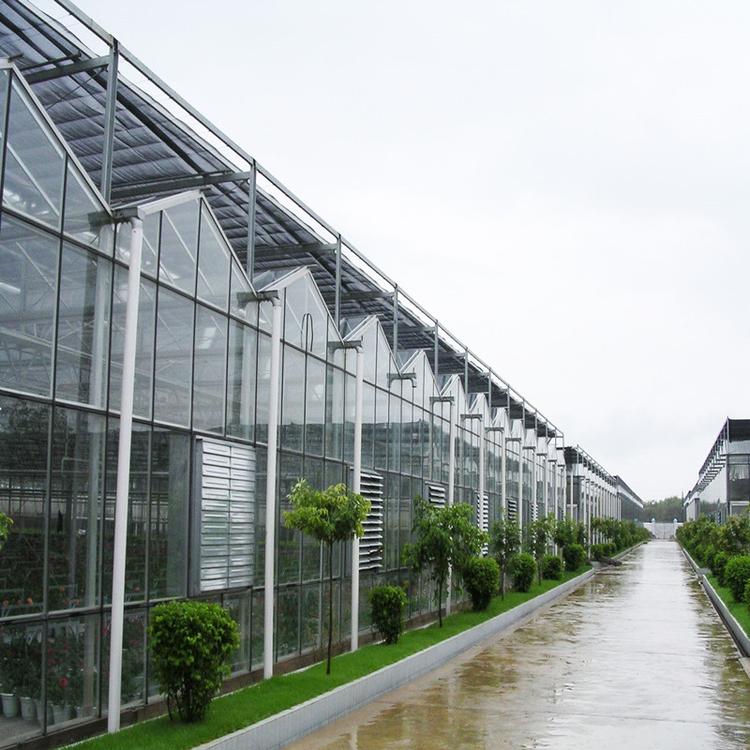 新型温室大棚 连栋玻璃大棚配件材料直销 智能温室花卉连栋大棚 温室骨架  玻璃温室 纹络温室