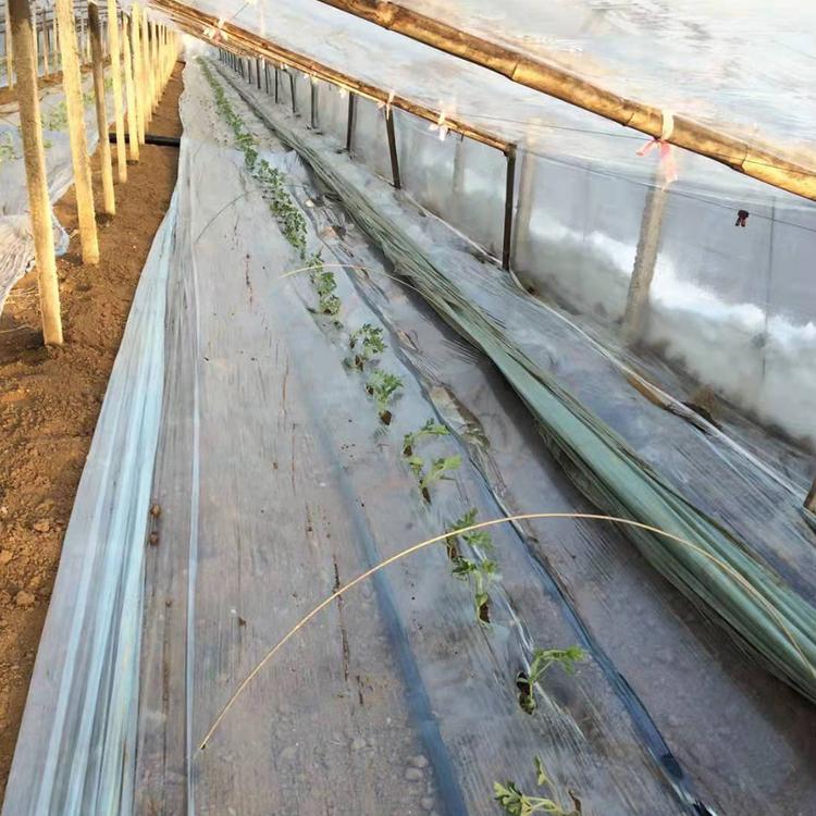 喷灌带 销量好的喷灌带 喷灌带大量供应 喷灌带生产线