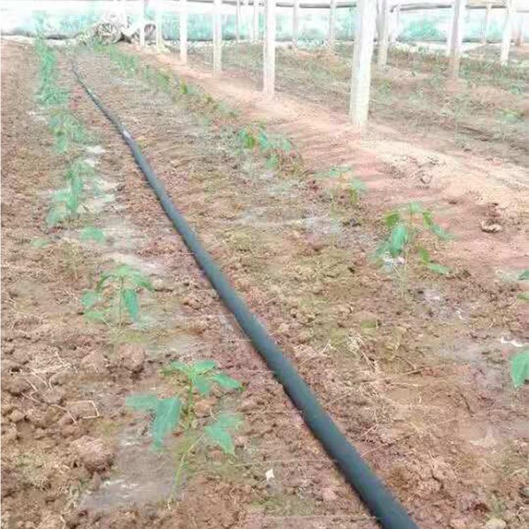 喷灌带 没有中间商喷灌带 喷灌带生产厂商 喷灌带售后好