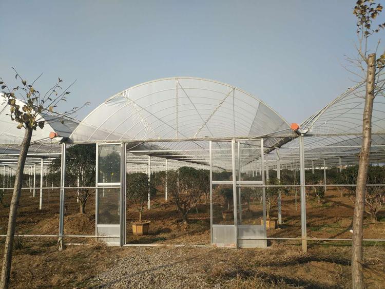 建造薄膜温室 薄膜温室成本 价格优惠