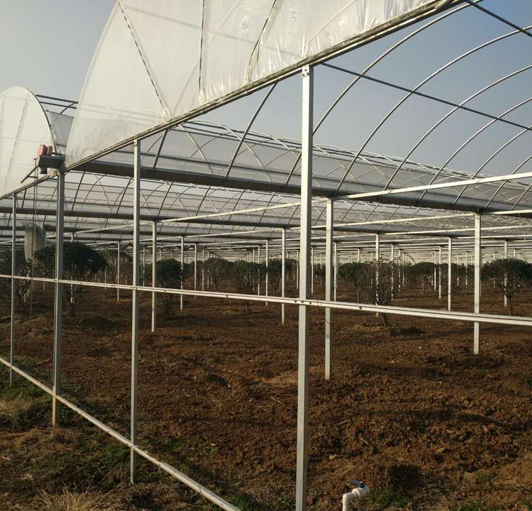 建造连栋薄膜温室大棚 连栋薄膜温室大棚报价 按需定制
