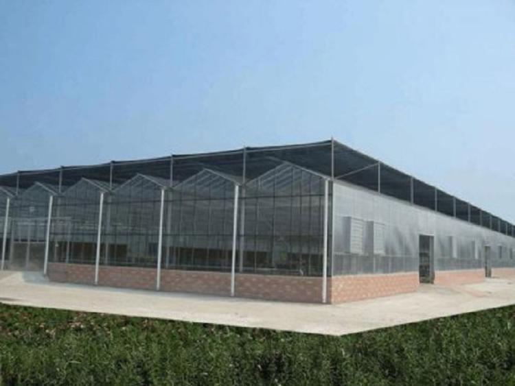 山东玻璃温室建设 玻璃温室建设