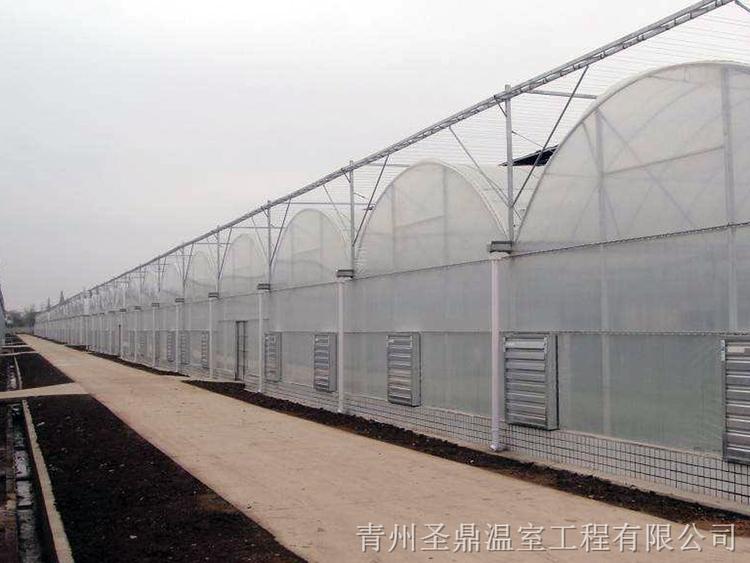 承建连栋薄膜温室大棚 连栋薄膜温室大棚工程 价格优惠