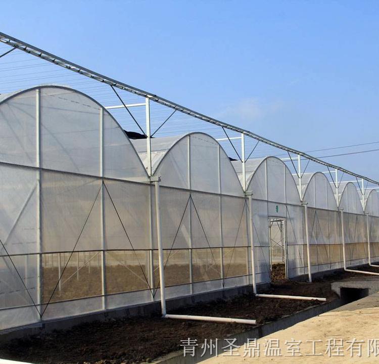 薄膜温室大棚 蔬菜薄膜温室设计 售后周到 圣鼎温室工程公司
