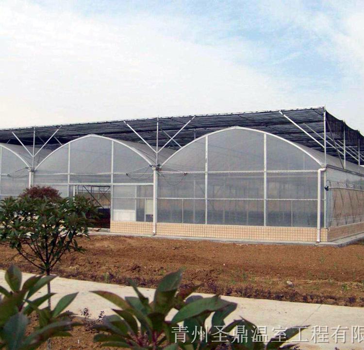 山东连栋温室 连栋温室建造商 按需定制