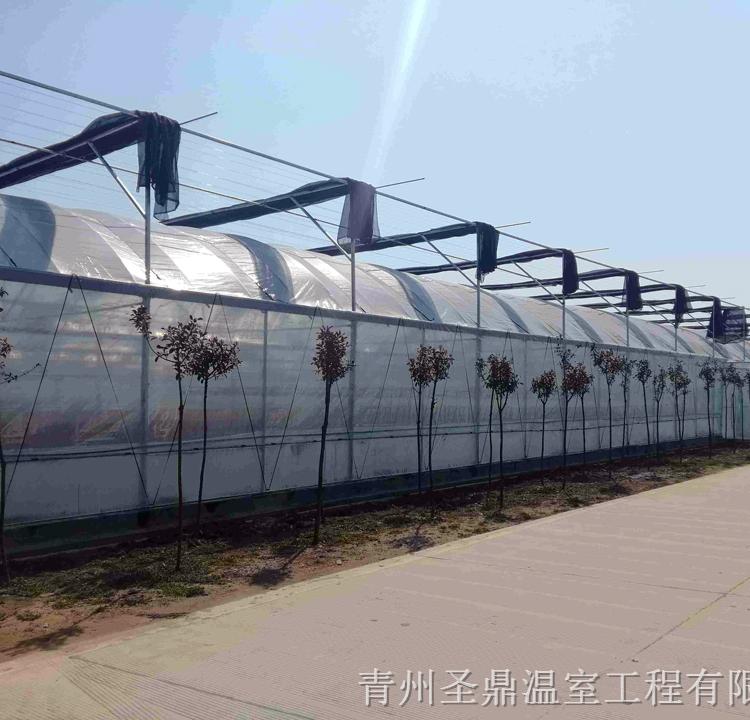 连栋温室大棚造价 新型连栋温室设计安装 承建连动温室大棚