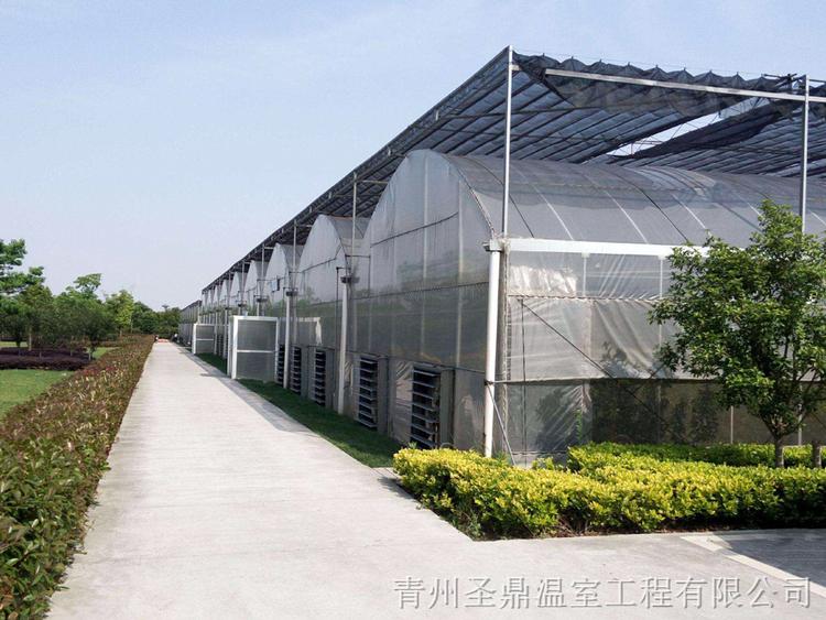 建造连栋薄膜温室大棚 连栋薄膜温室大棚造价 质量优良售后周到