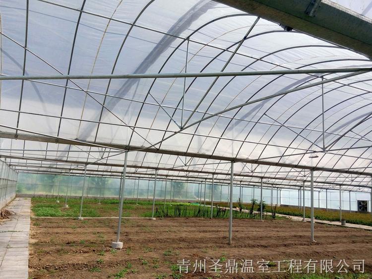连栋薄膜温室 连栋温室大棚工程 薄膜温室大棚搭建
