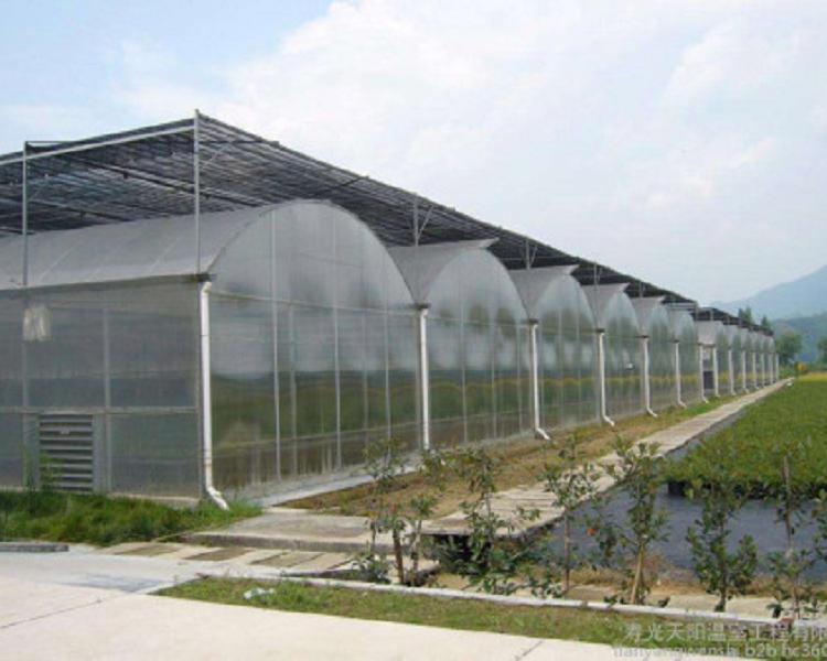 潍坊连栋温室造价 连栋温室造价